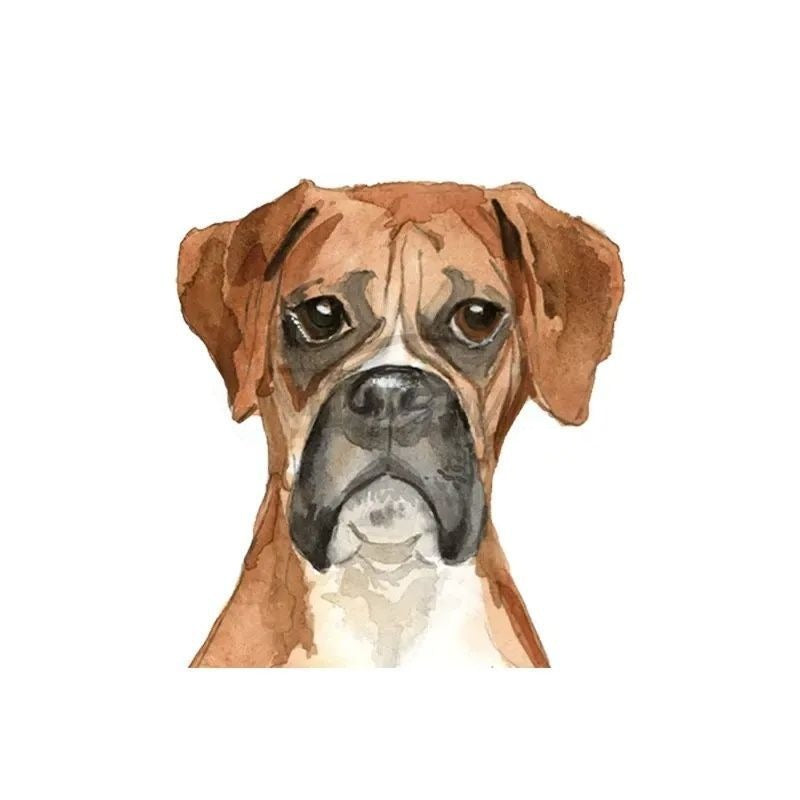 Boxer Dog 'Lonely' Vinyl Car Peeker Sticker