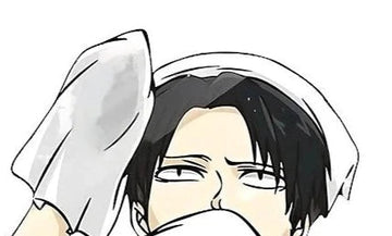 Attack on Titan 'Levi | Focus' Vinyl Car Peeker Sticker