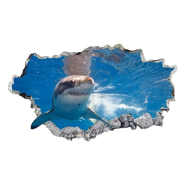 Smashed Hole 'Shark' Vinyl Car Sticker