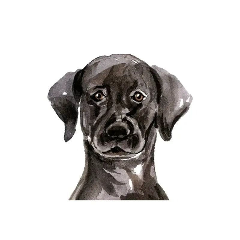 Black Labrador 'Serious' Vinyl Car Peeker Sticker