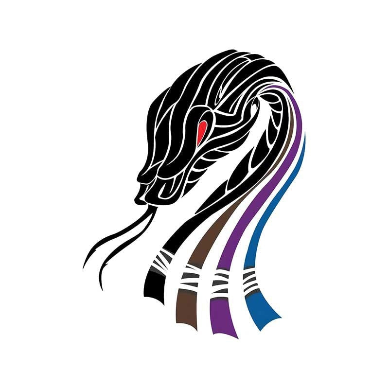 Cool 'Jiu Jitsu Snake Belts' Vinyl Car Sticker