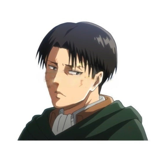 Attack on Titan 'Levi | Looking Sideways' Vinyl Car Sticker