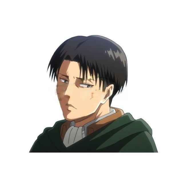 Attack on Titan 'Levi | Looking Sideways' Vinyl Car Sticker