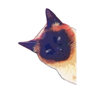 Siamese Cat 'Peeping' Vinyl Car Peeker Sticker