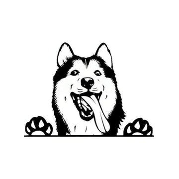 Husky 'Tongue Out' Vinyl Car Peeker Sticker