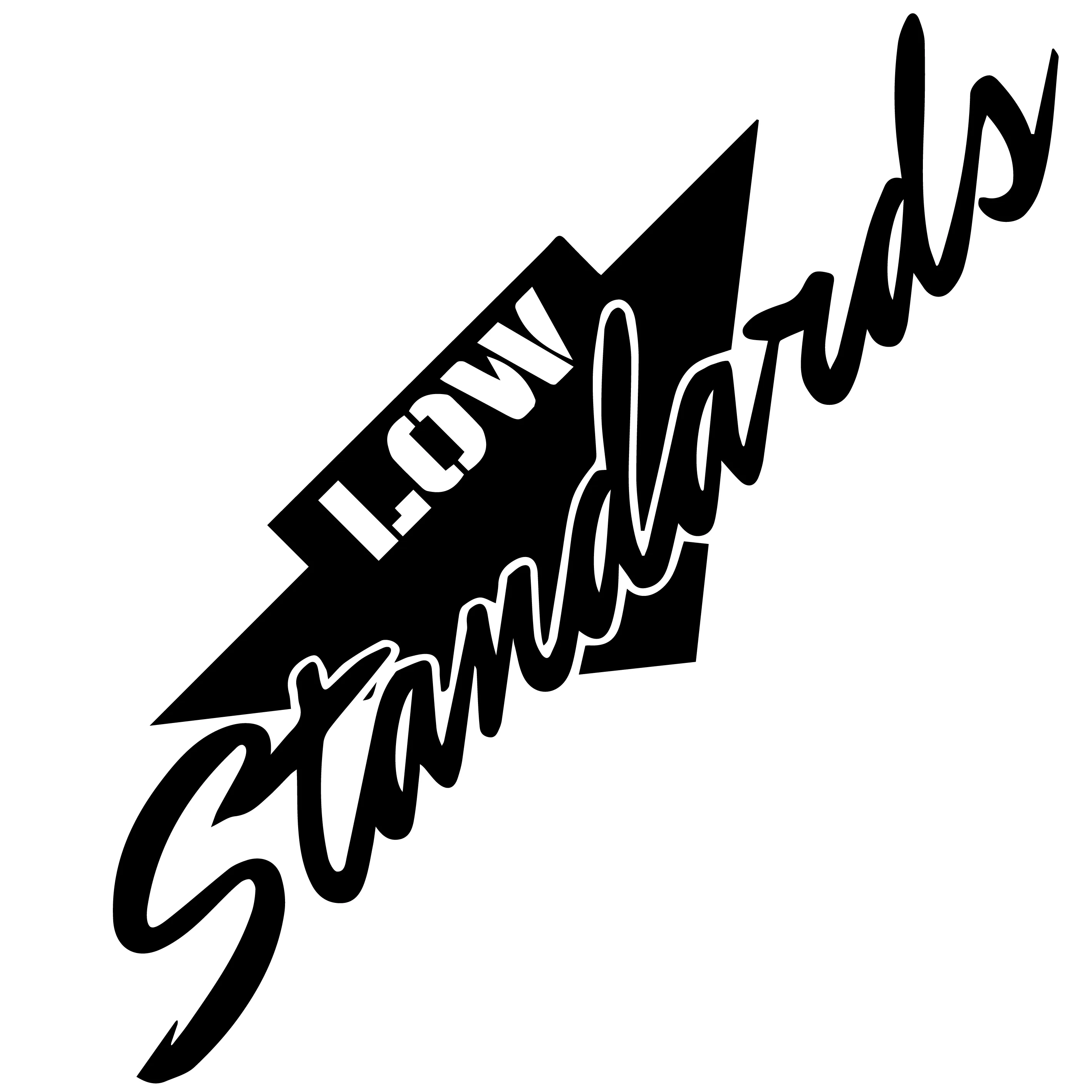 Cool 'Low Standards | Arrow Down' Vinyl Car Sticker
