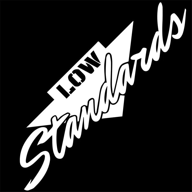 Cool 'Low Standards | Arrow Down' Vinyl Car Sticker