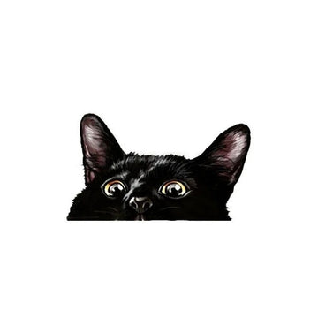 Black Cat 'Shocked' Vinyl Car Peeker Sticker