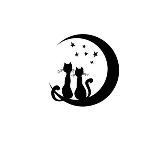 Black Cat 'Lovers Sitting On The Moon' Vinyl Car Sticker