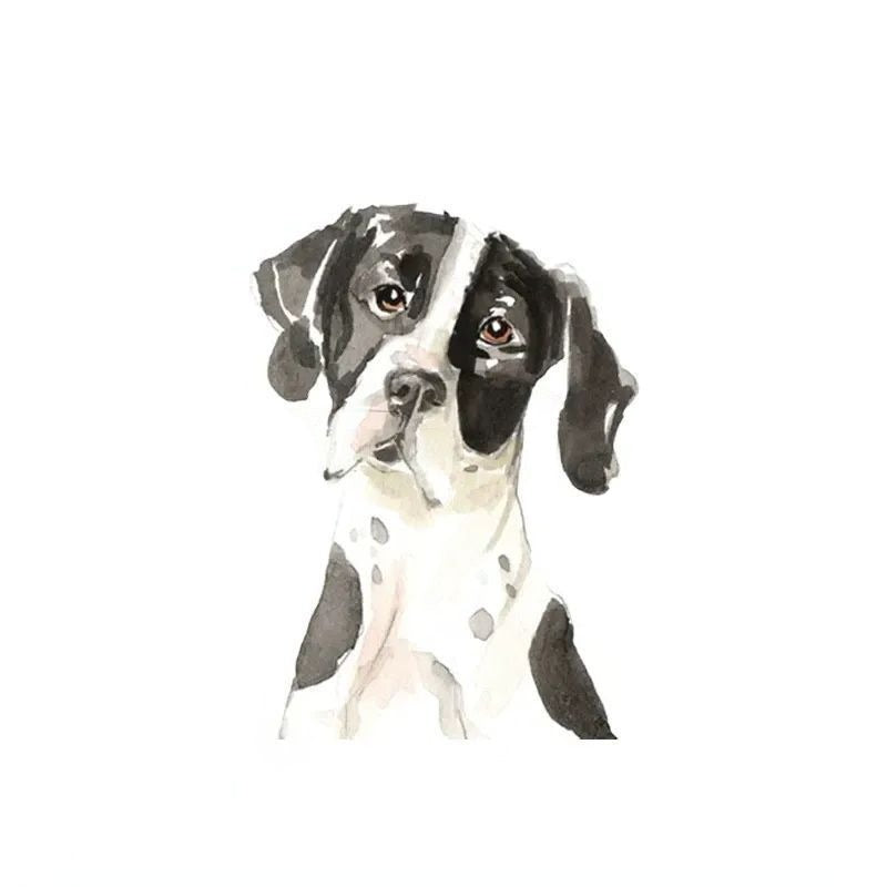 English Pointer Dog 'Sad Face' Vinyl Car Peeker Sticker