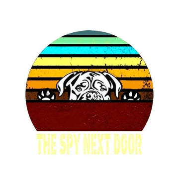 The Spy Next Door 'Pug | Colorful Stripes' Vinyl Car Peeker Sticker