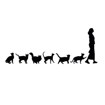 Cute 'Cats Follow A Woman | Line Up' Vinyl Car Sticker