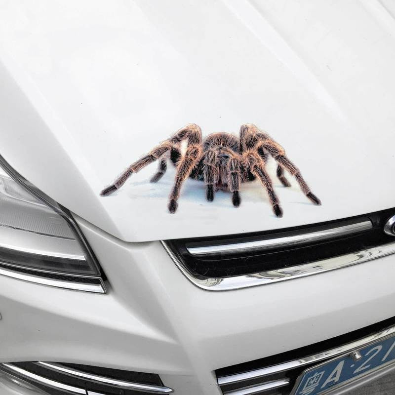 Spider 'Tarantulas | Set of 2' Vinyl Car Sticker