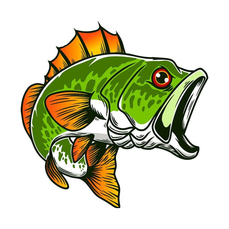 Fish 'Largemouth Bass | Open Mouth' Vinyl Car Sticker