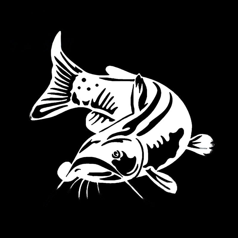 Catfish 'Staring' Vinyl Car Sticker