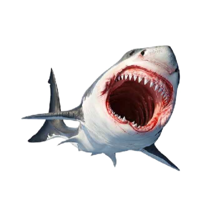 Great White Shark Vinyl Car Sticker