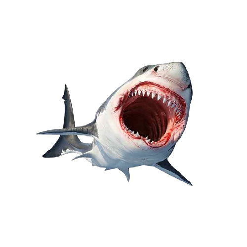 Great White Shark Vinyl Car Sticker