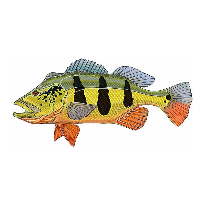 Fish 'Speckled Peacock Bass' Vinyl Car Sticker