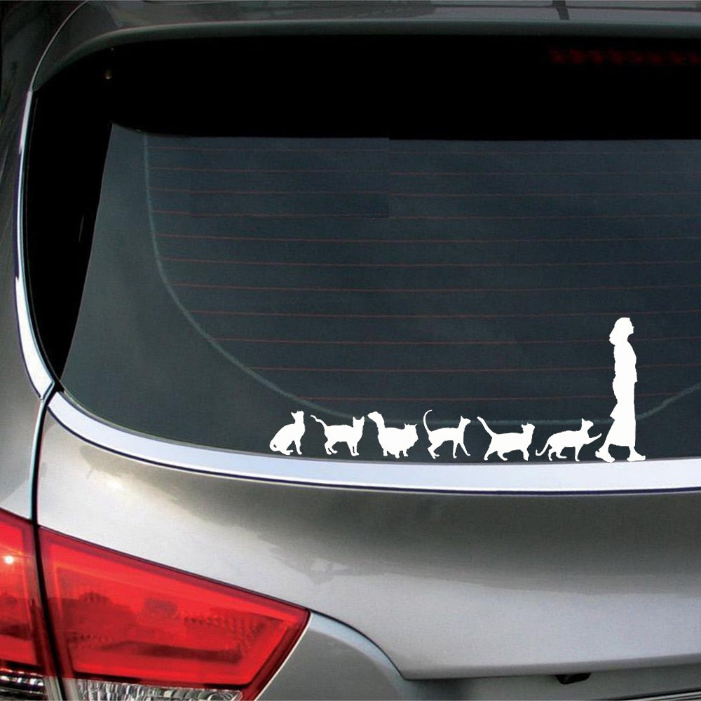 Cute 'Cats Follow A Woman | Line Up' Vinyl Car Sticker