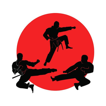 Jiu Jitsu 'Kicking Fighting Stance' Vinyl Car Sticker