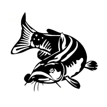 Catfish 'Staring' Vinyl Car Sticker