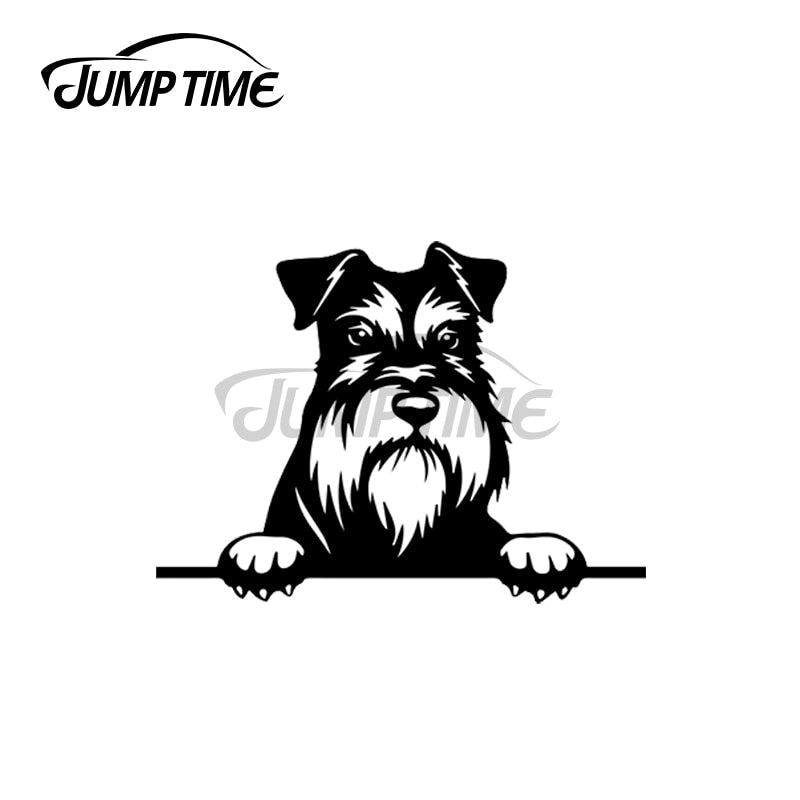 Miniature Schnauzer Dog 'Looking' Vinyl Car Peeker Sticker