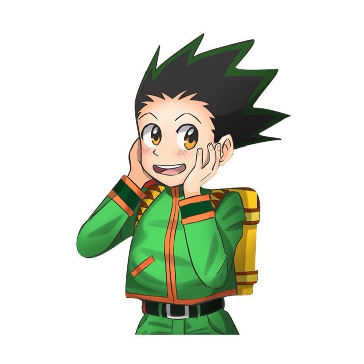 Hunter × Hunter 'Gon Freecss | Flushed' Vinyl Car Sticker