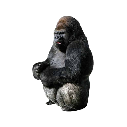 King Kong 'Sitting' Vinyl Car Sticker