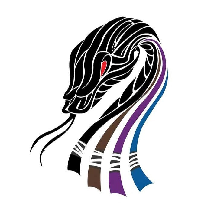 Cool 'Jiu Jitsu Snake Belts' Vinyl Car Sticker