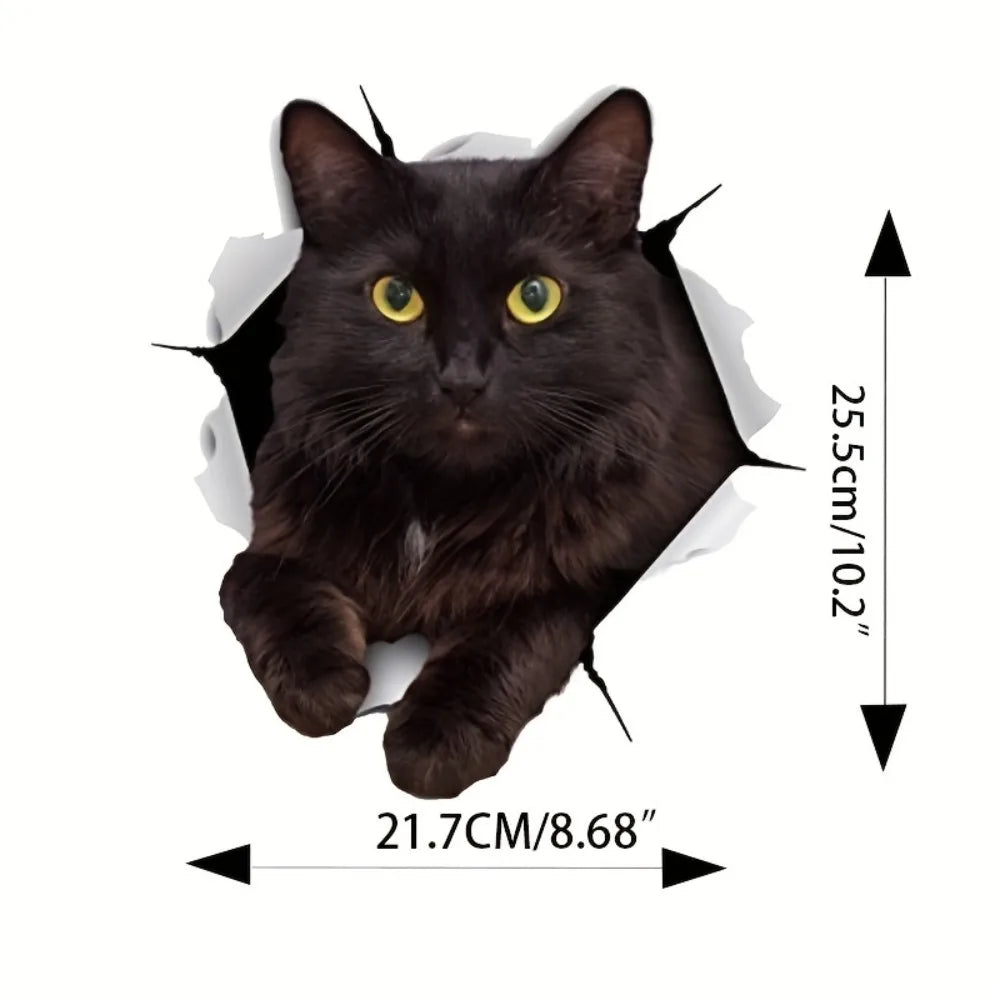 Cool '3D Black Cat Crack | Staring' Vinyl Car Peeker Sticker