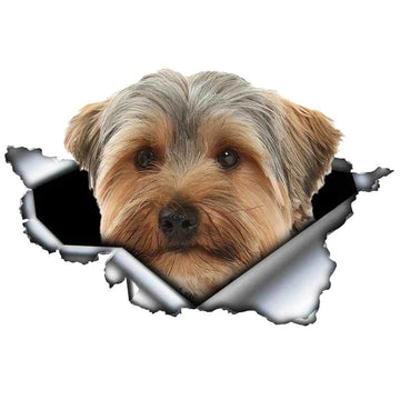 Ripped Torn Hole 'Yorkshire Terrier | Looking' Vinyl Car Peeker Sticker