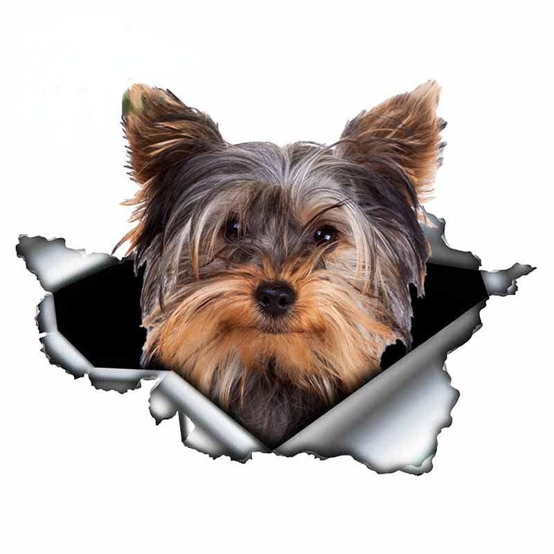 Ripped Torn Hole 'Yorkshire Terrier | Happy' Vinyl Car Peeker Sticker