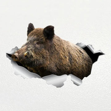 Ripped Torn Hole 'Wild Boar' Vinyl Car Peeker Sticker