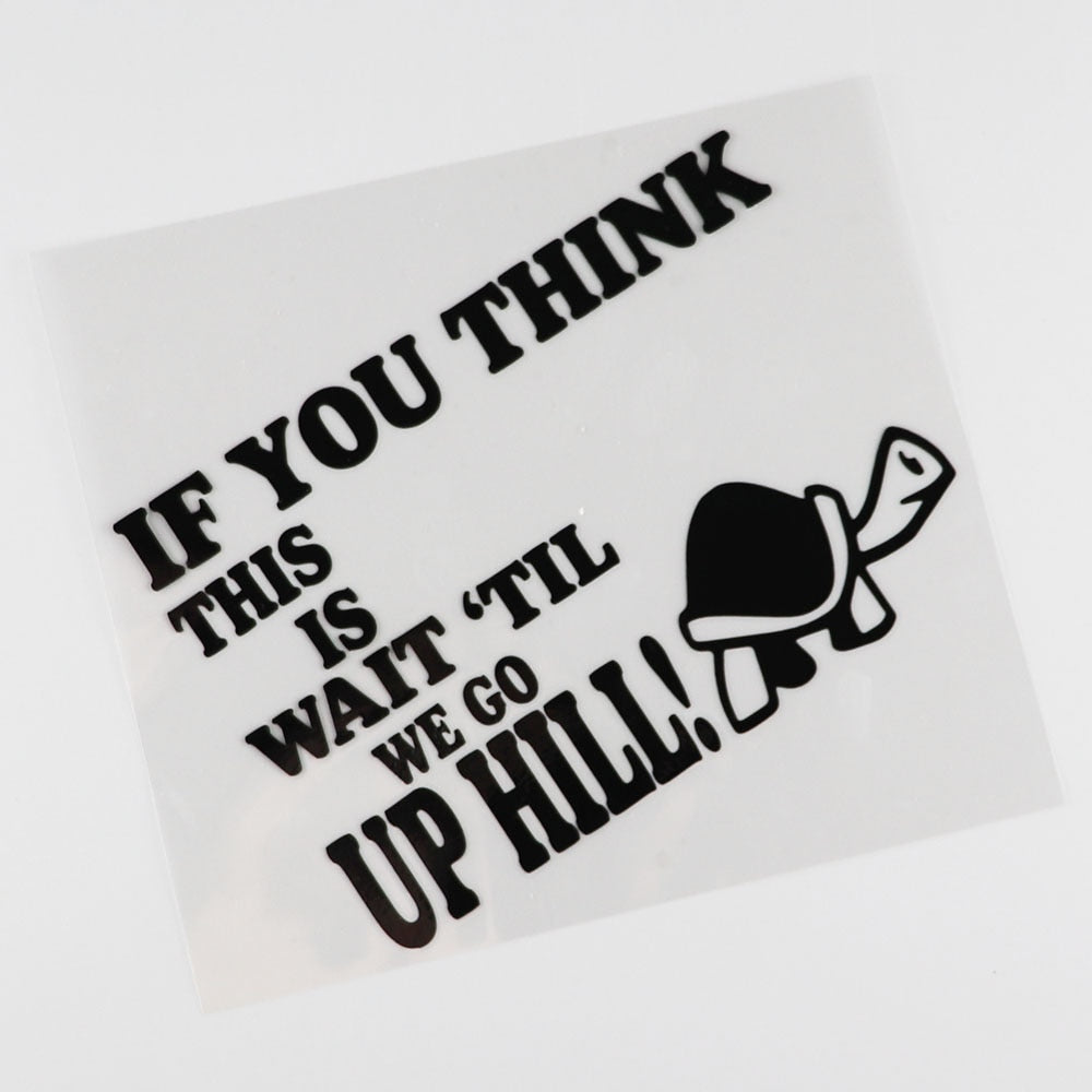 Turtle 'If You Think This Is - Wait 'Til We Go Up Hill' Vinyl Car Sticker