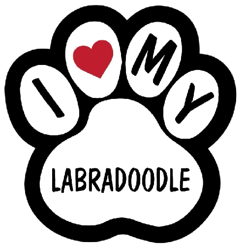 Dog Paw 'I Love My Labradoodle' Vinyl Car Sticker