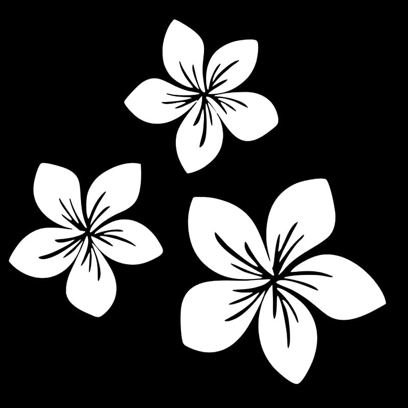 Plumeria Flower 'Black And White' Vinyl Car Sticker