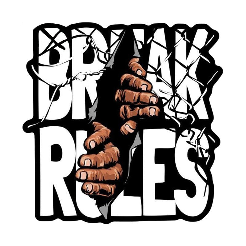 Break Rules 'Broken Wire Fence' Vinyl Car Sticker