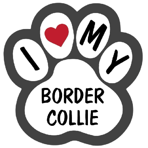 Dog Paw 'I Love My Border Collie' Vinyl Car Sticker