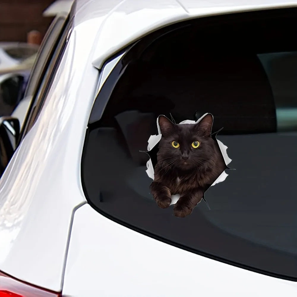 Cool '3D Black Cat Crack | Staring' Vinyl Car Peeker Sticker