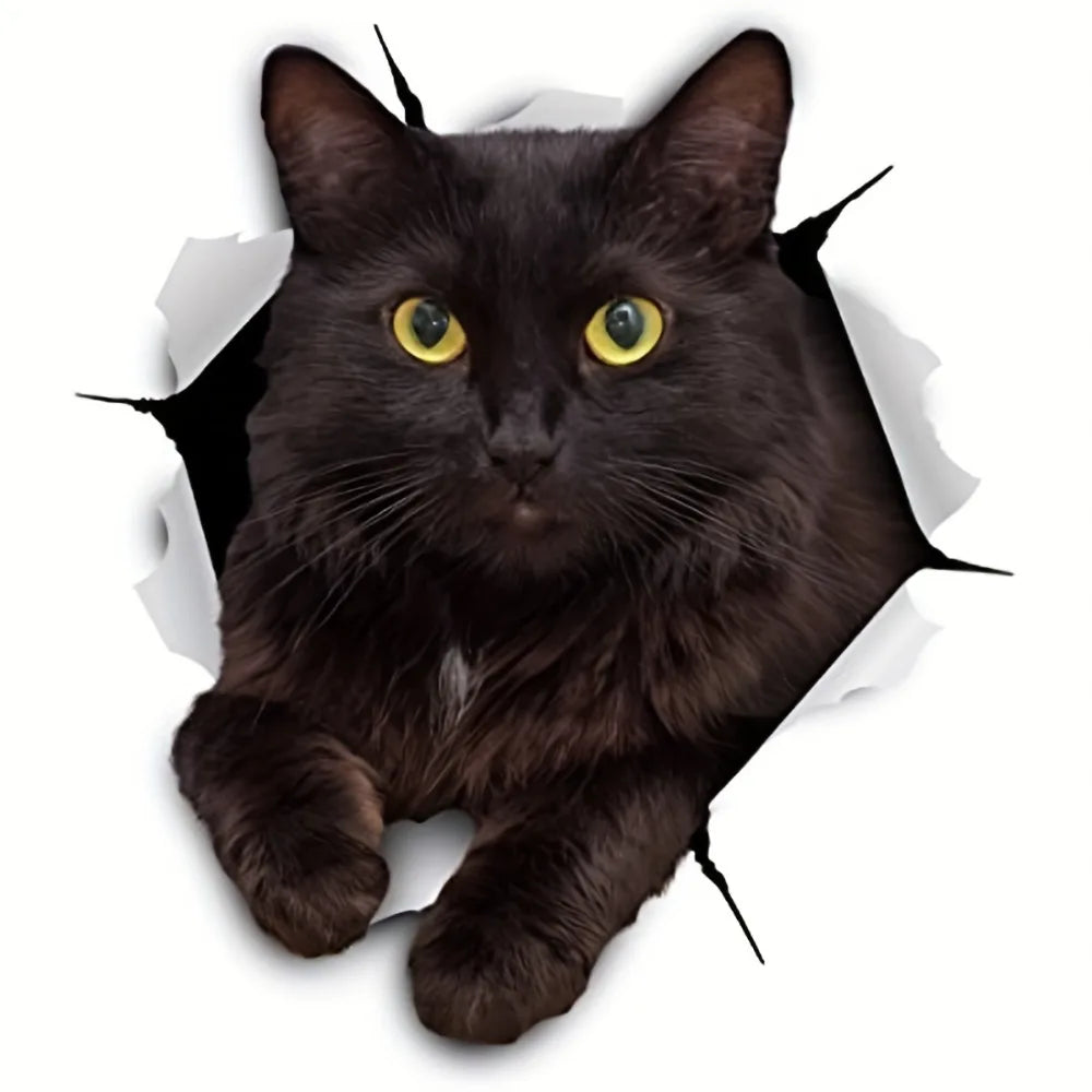 Cool '3D Black Cat Crack | Staring' Vinyl Car Peeker Sticker