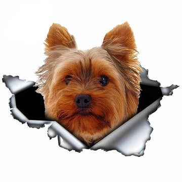 Ripped Torn Hole 'Yorkshire Terrier | Lonely' Vinyl Car Peeker Sticker