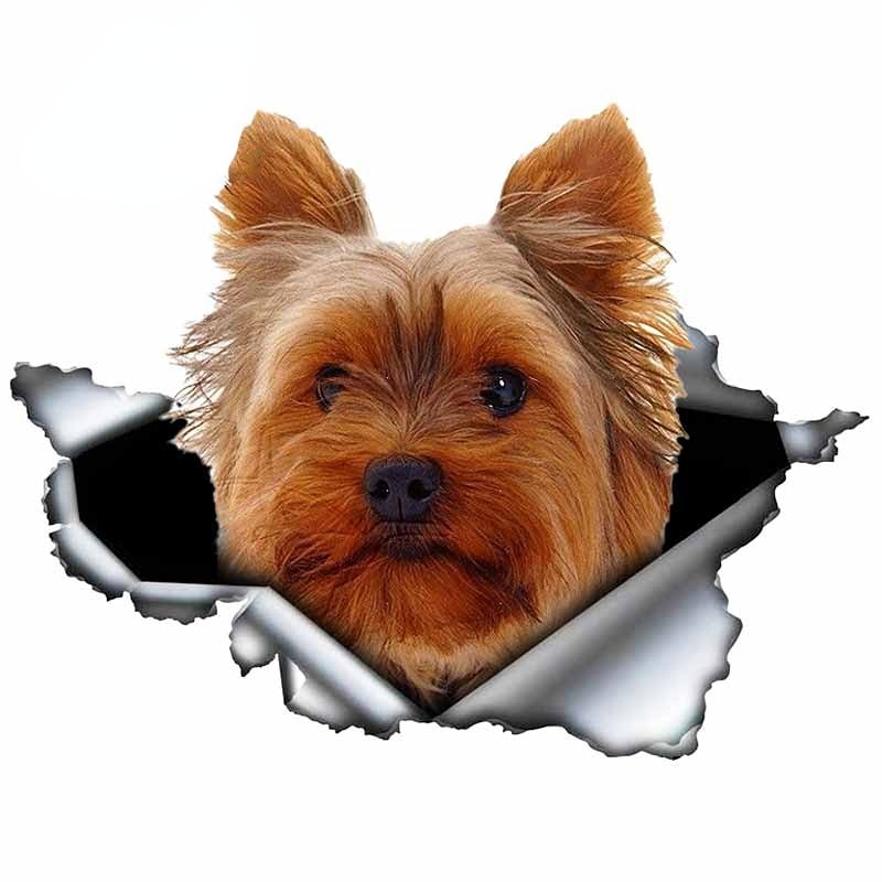 Ripped Torn Hole 'Yorkshire Terrier | Lonely' Vinyl Car Peeker Sticker
