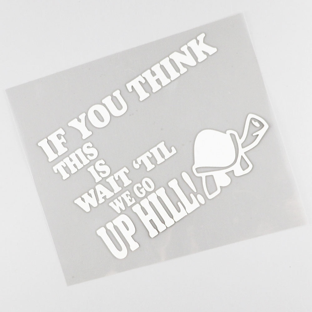 Turtle 'If You Think This Is - Wait 'Til We Go Up Hill' Vinyl Car Sticker