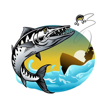 Fish 'Barracuda | Fisherman Fishing' Vinyl Car Sticker