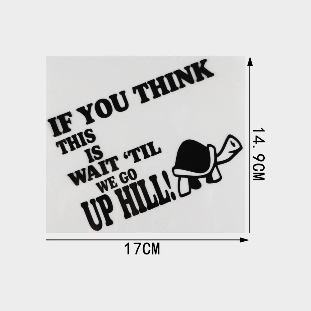 Turtle 'If You Think This Is - Wait 'Til We Go Up Hill' Vinyl Car Sticker