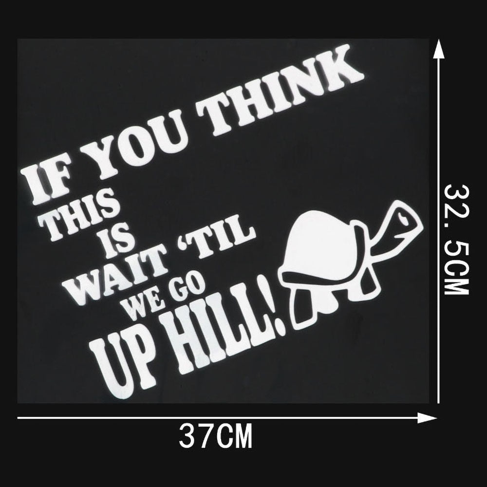 Turtle 'If You Think This Is - Wait 'Til We Go Up Hill' Vinyl Car Sticker