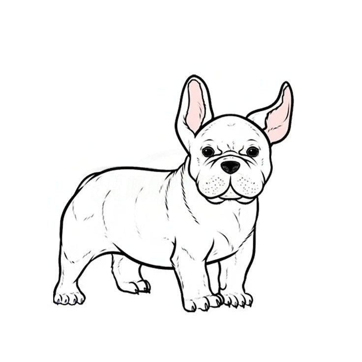French Bulldog 'Standing' Vinyl Car Sticker
