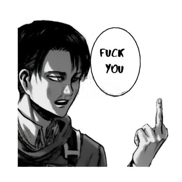 Attack on Titan 'Levi | F U' Vinyl Car Sticker