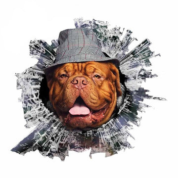 Broken Glass 'Dogue de Bordeaux Dog | Striped Hat' Car Window Vinyl Sticker