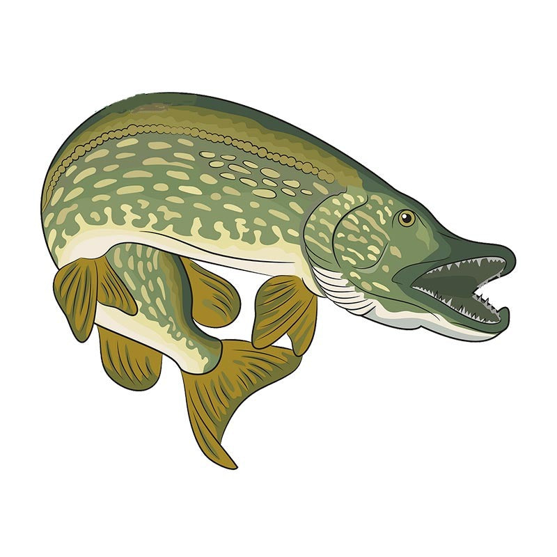 Fish 'Northern Pike | Olive Green' Vinyl Car Sticker